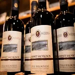 Podere Riosto Cantina&agriturismo 农家乐 皮亚诺罗