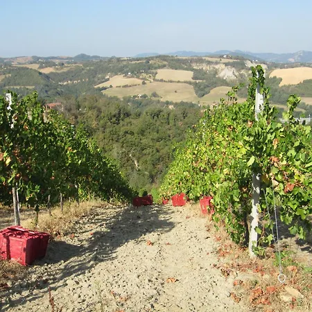 Podere Riosto Cantina&agriturismo Feriegård *