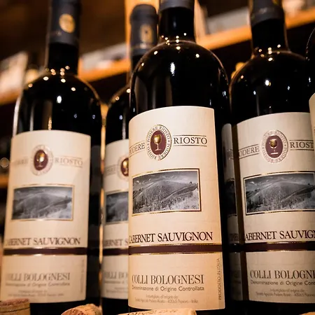 Podere Riosto Cantina&agriturismo Farm stay Pianoro