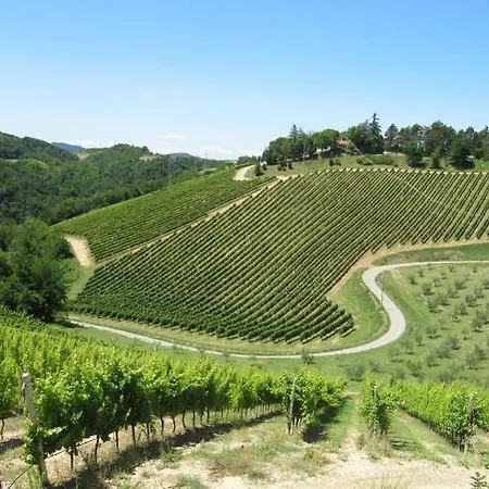 Farm stay Podere Riosto Cantina&agriturismo