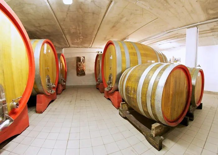 Feriegård Podere Riosto Cantina&agriturismo