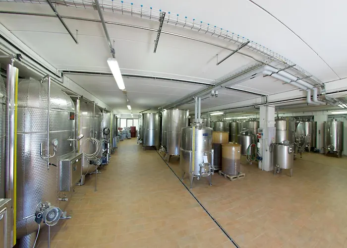 Feriegård Podere Riosto Cantina&agriturismo *