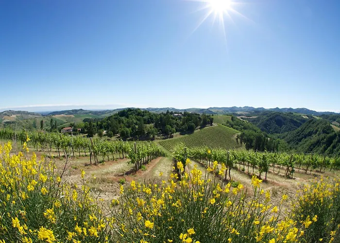 Podere Riosto Cantina&agriturismo *