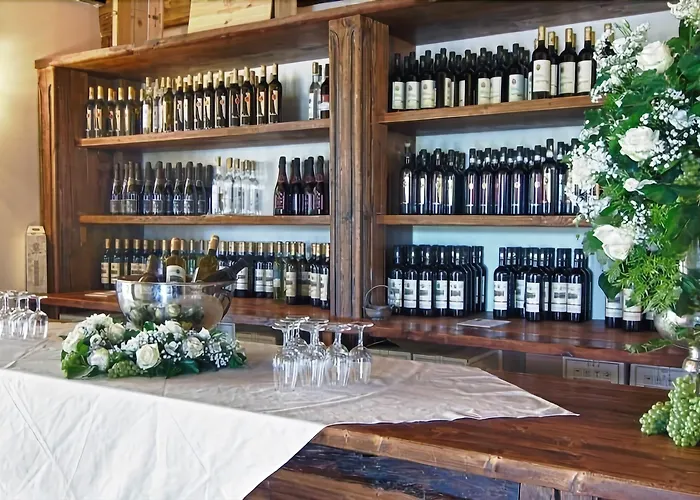 Feriegård Podere Riosto Cantina&agriturismo