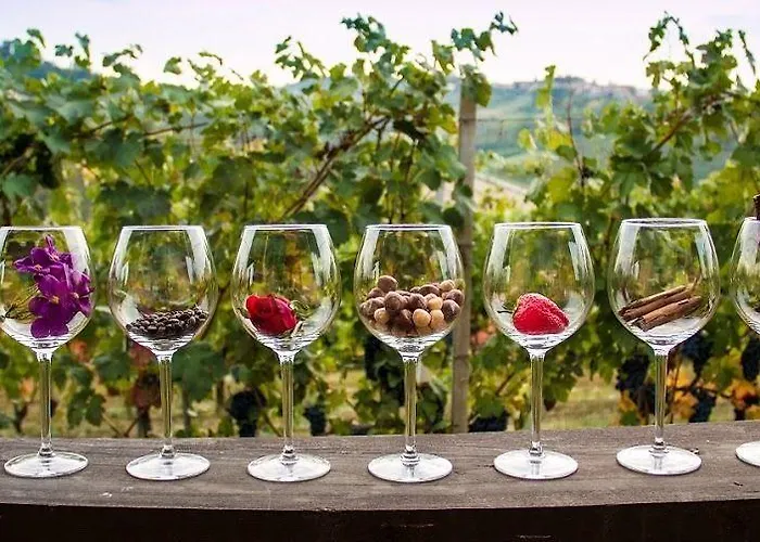 Podere Riosto Cantina&agriturismo Feriegård *