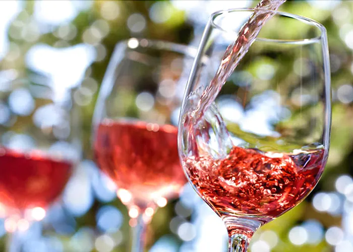 Podere Riosto Cantina&agriturismo Feriegård *