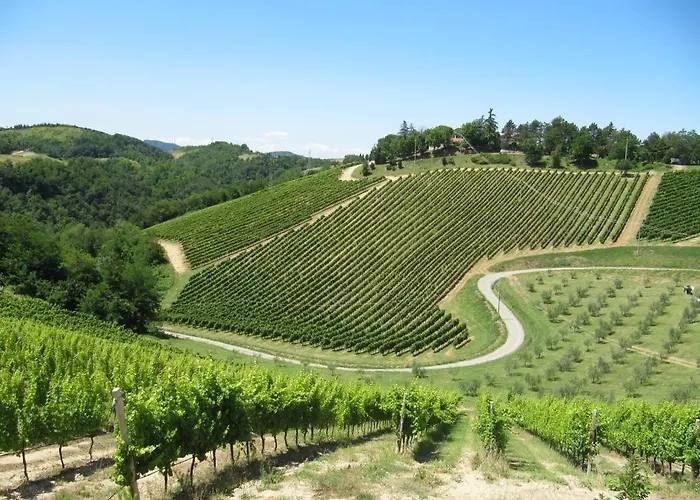 Podere Riosto Cantina&agriturismo Gospodarstwo agroturystyczne *