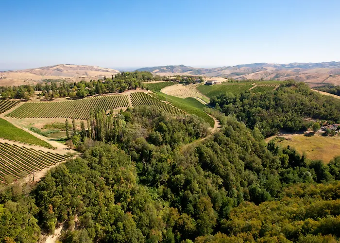 Podere Riosto Cantina&agriturismo