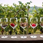 Podere Riosto Cantina&agriturismo Farma *