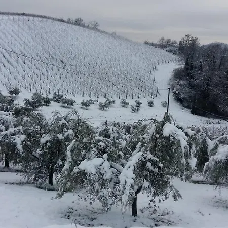Podere Riosto Cantina&agriturismo مزرعة للإقامة بيانورو