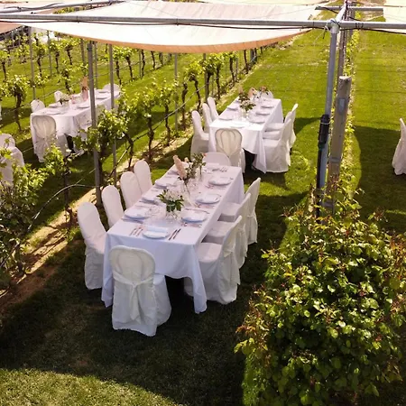 مزرعة للإقامة Podere Riosto Cantina&agriturismo بيانورو