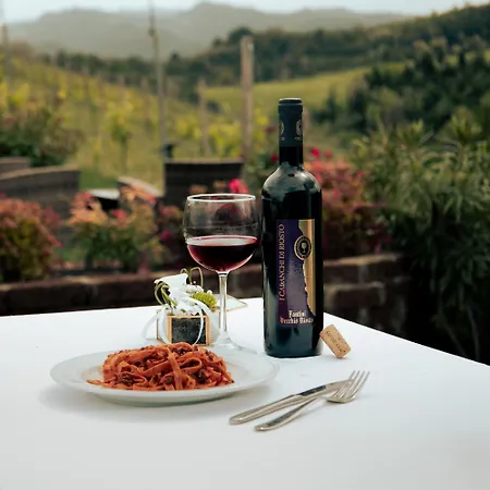 Podere Riosto Cantina&agriturismo Feriegård