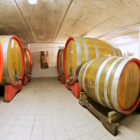 مزرعة للإقامة Podere Riosto Cantina&agriturismo