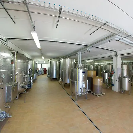 مزرعة للإقامة Podere Riosto Cantina&agriturismo *