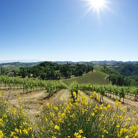 Podere Riosto Cantina&agriturismo *