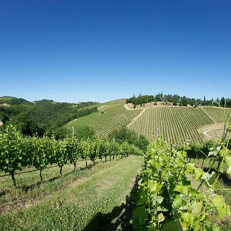 مزرعة للإقامة Podere Riosto Cantina&agriturismo بيانورو