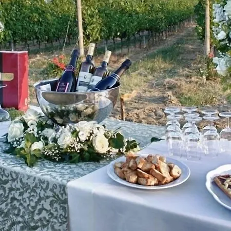 Farma Podere Riosto Cantina&agriturismo Pianoro