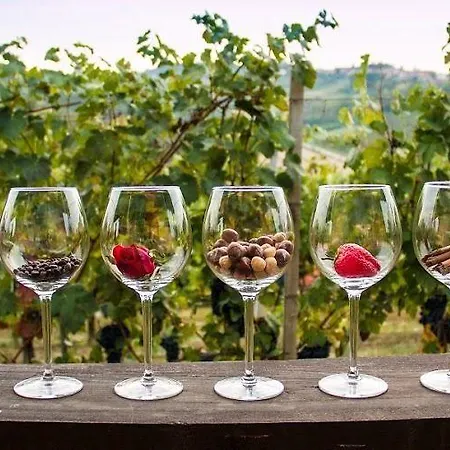 Podere Riosto Cantina&agriturismo مزرعة للإقامة *