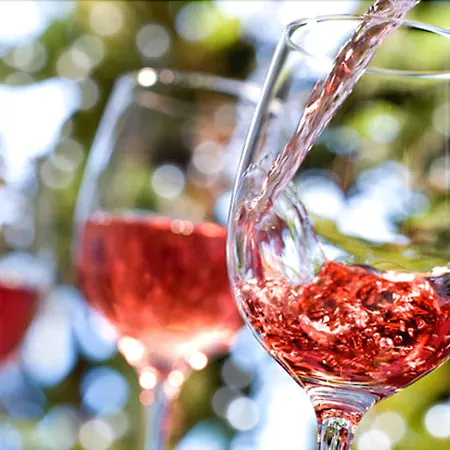 Podere Riosto Cantina&agriturismo Feriegård *