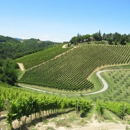 Podere Riosto Cantina&agriturismo مزرعة للإقامة *