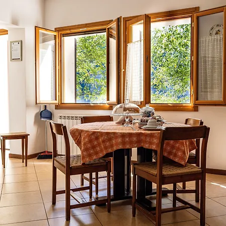 Podere Riosto Cantina&agriturismo Alloggio per agriturismo *