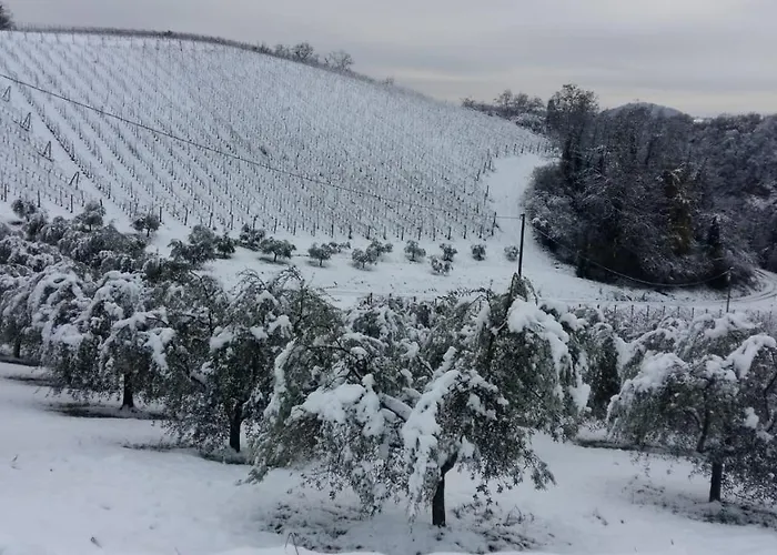 Podere Riosto Cantina&agriturismo בית חווה פיאנורו