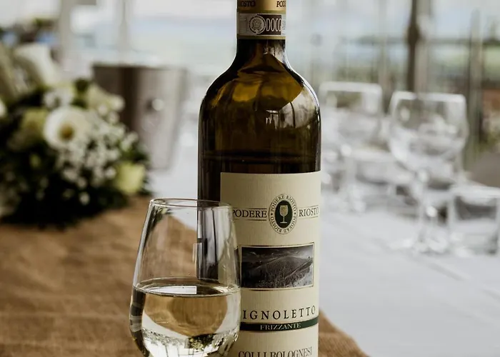 Podere Riosto Cantina&agriturismo Çiftlik konaklama Pianoro