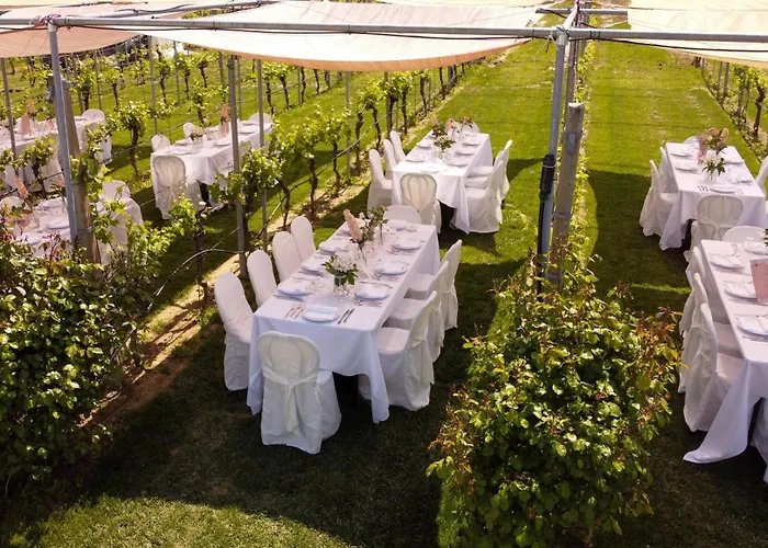 Çiftlik konaklama Podere Riosto Cantina&agriturismo Pianoro