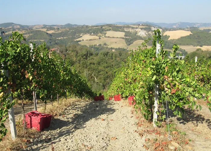 Podere Riosto Cantina&agriturismo Çiftlik konaklama *