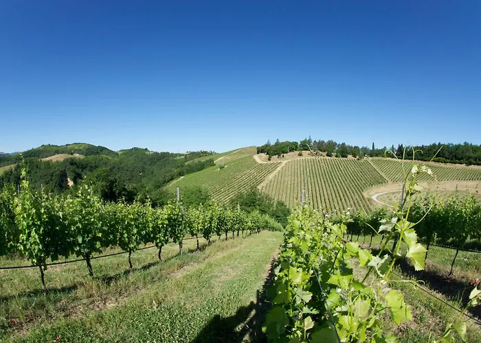 Çiftlik konaklama Podere Riosto Cantina&agriturismo Pianoro