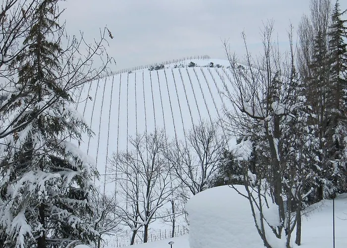 Podere Riosto Cantina&agriturismo פיאנורו